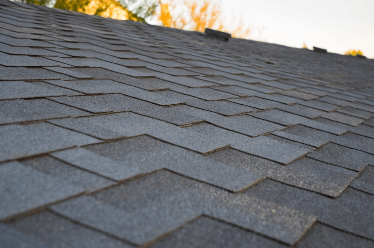 Top Dog Roofing